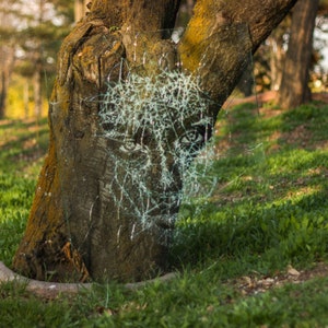 May include: A tree trunk with a white, abstract design resembling a face, created with a pattern of lines and dots. The tree is in a grassy area with other trees in the background.