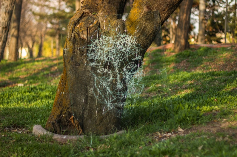 May include: A tree trunk with a white, abstract design resembling a face, created with a pattern of lines and dots. The tree is in a grassy area with other trees in the background.