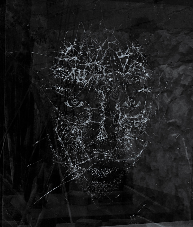 May include: A black and white image of a face obscured by a cracked glass surface. The face is partially visible through the cracks, with the eyes and mouth being the most prominent features.