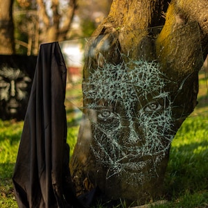 May include: A cracked glass panel with a white face drawn on it is leaning against a tree trunk in a park. The glass is broken into many small pieces, creating a spiderweb effect. The face is partially obscured by the broken glass.