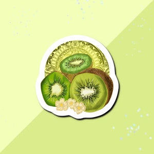 autocollant kiwi | autocollants de fruits, autocollant pour ordinateur portable, autocollant brillant, articles de papeterie, autocollants de caisse, autocollants de journalisme
