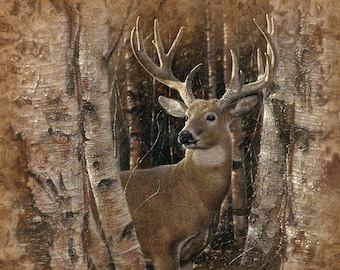 Deer Art, Deer Print, Deer Painting, Whitetail Buck, Wildlife Art, Animal Portrait, Nature Wall Art, Canvas, Artist Collin Bogle