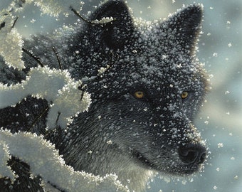 Black Wolf Art Print, Wolf Painting, Wildlife Art, Animal Portrait, Nature Wall Art, Canvas Artwork, Artist Collin Bogle