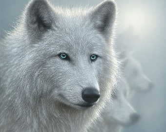 Wolf Art Print, Painting of Wolves, Arctic Wolves, White, Wildlife Art, Animal Portrait, Nature Wall Art, Artwork, Artist Collin Bogle