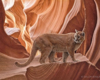 Cougar Art Print, Mountain Lion Painting, Puma Artwork, Big Cat Drawing, Wildlife Art, Canyon Wall Art, Canvas Decor
