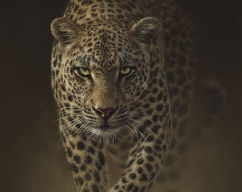 Wydruk artystyczny z lampartem, obraz z lampartem, duży kot, sztuka dzikiej przyrody, portret zwierzęcia, sztuka ścienna z naturą, dzieło sztuki na płótnie, artysta Collin Bogle