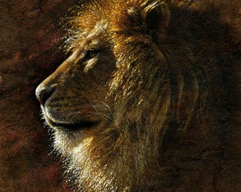 Lion Portrait, Lion Art Print, Lion Painting, Big Cat, Wild, Wildlife Art, Animal, Nature Wall Art, Canvas Artwork, Artist Collin Bogle