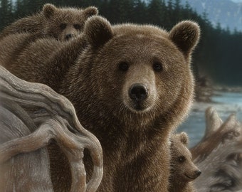 Bear Art Print, Brown Bear Painting, Grizzly Bear, Bear Cub, Family, Wildlife, Animal, Nature Wall Art, Canvas Artwork, Artist Collin Bogle