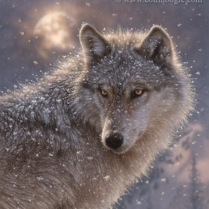 Wolf Art Print, Wolf Painting, Lone Wolf, Winter Wolf, Snow, Wildlife Art, Animal Portrait, Nature Wall Art, Artwork, Artist Collin Bogle