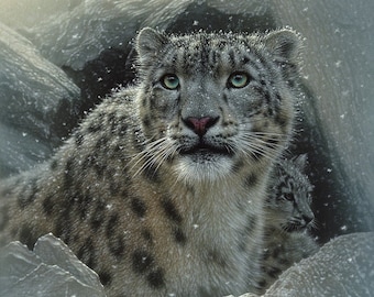 Wydruk artystyczny Snow Leopard, Malowanie Snow Leopard, Duży kot, Sztuka dzikiej przyrody, Portret zwierzęcia, Sztuka ścienna natury, Płótno, Artysta Collin Bogle