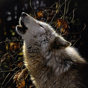 Wolf Art Print, Howling Wolf Painting, Grey Wolf, Wildlife Art, Animal Portrait, Camouflage Wall Art, Realism Artwork, Artist Collin Bogle