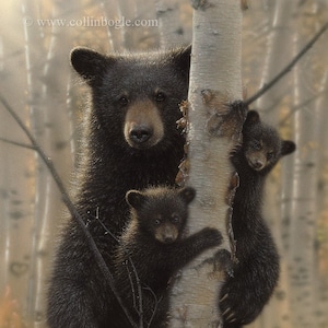Black Bear Painting, Bear Art Print, Bear Cubs, Mother & Baby, Nursery Wall Art, Wildlife Art, Animal Portrait, Nature Print, Canvas Artwork