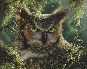 Owl Painting, Owl Art Print, Great Horned Owl, Bird Art, Wildlife Art, Animal Portrait, Nature Wall Art, Canvas, Artist Collin Bogle