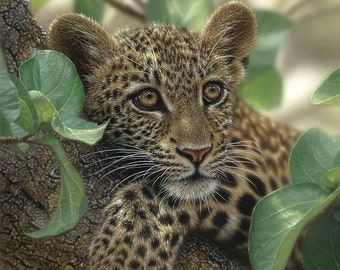 Wydruk artystyczny z lampartem, obraz z lampartem, młody lampart, duży kot, portret małego zwierzęcia, wydruk do pokoju dziecięcego, sztuka ścienna z naturą, płótno, artysta Collin Bogle