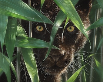 Black Panther Painting, Black Panther Art Print, Puma, Big Cat, Wildlife Art, Animal Portrait, Nature Wall Art, Canvas, Artist Collin Bogle