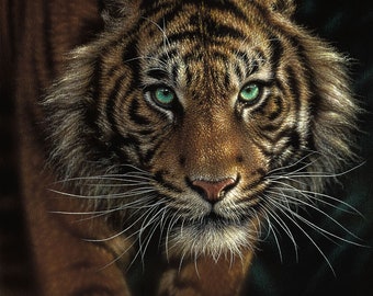 Tiger Art Print, Tiger Painting, Big Cat, Wildlife Art, Animal Artwork, Nature Wall Art, Artist Collin Bogle