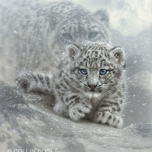 Snow Leopard Cub, Snow Leopard Painting, Cute Kitten Art, Baby Animal Print, Nursery Wall Art, Animal Illustration, Drawing, Canvas Artwork