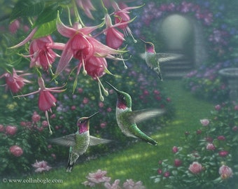 Hummingbird Painting, Hummingbird Art Print, Flowers, Bird Art, Wildlife Art, Animal Artwork, Nature Wall Art, Artist Collin Bogle
