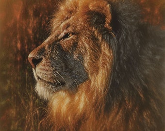 Lion Wall Art, Male Lion Portrait, Wildlife Painting, African Decor, Animal Drawing, Nature Artwork, Big Cat Canvas