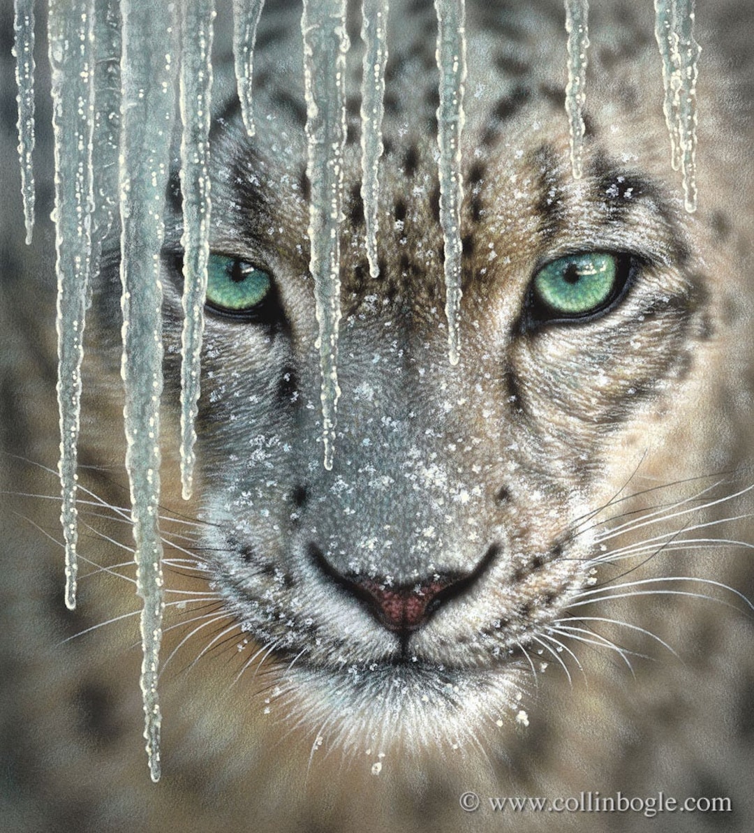 ユキヒョウのアートプリント、ユキヒョウの絵画、大型ネコ科動物