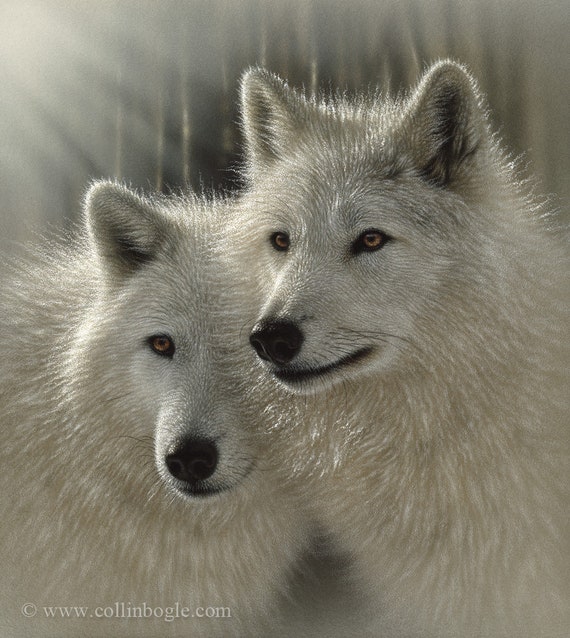 white wolf paintings