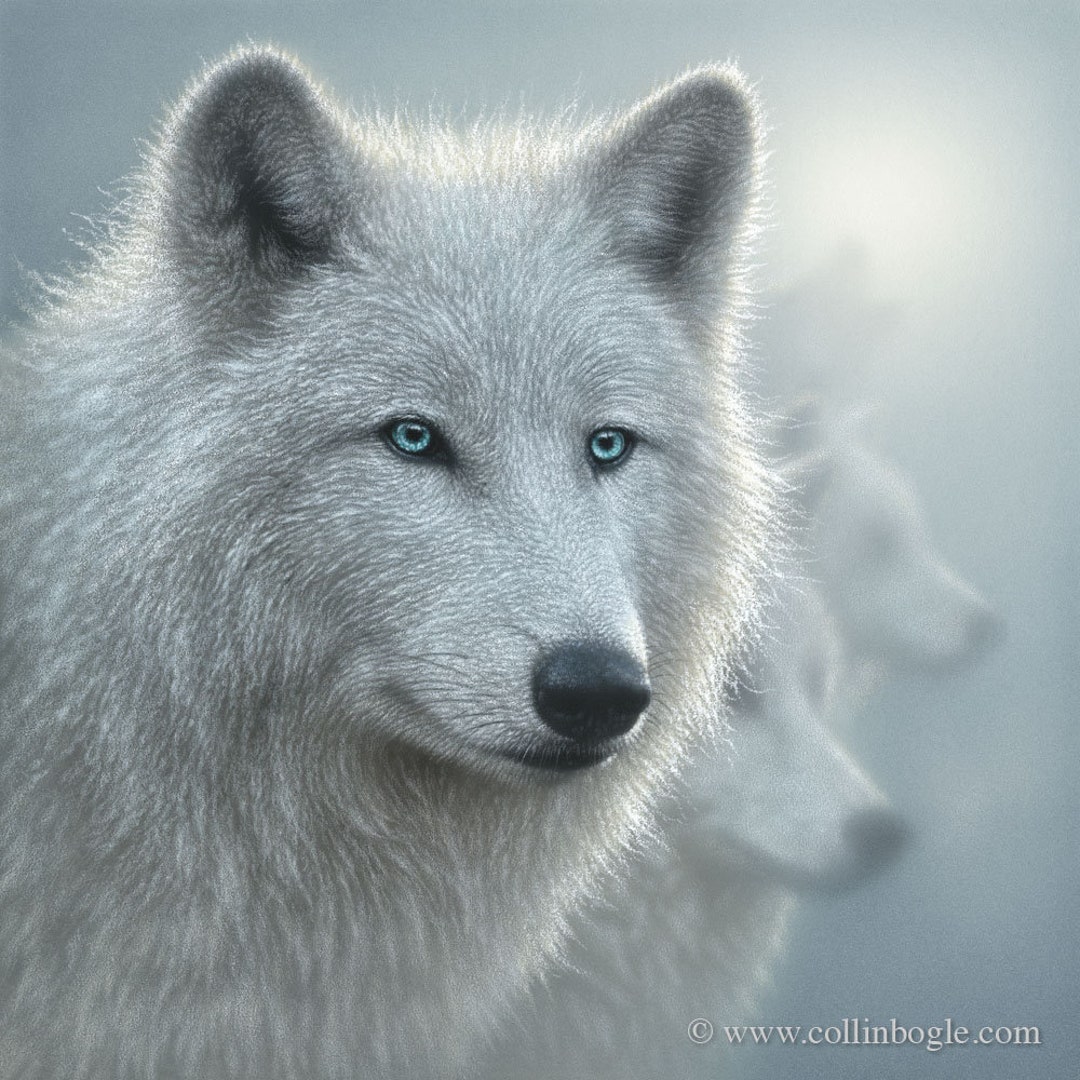 Wolf Art Print, Painting of Wolves, Arctic Wolves, White, Wildlife Art ...