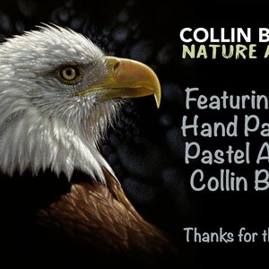 May include: A close-up of a hand-painted pastel art piece featuring a bald eagle with a white head and brown body. The artwork is titled "Collin Bogle Nature Art".