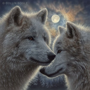 Wolf Art Print, Painting of Wolves, Wolf Love, Full Moon, Wildlife Art, Animal Portrait, Nature Wall Art, Canvas Artwork