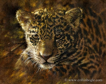 Jaguar Painting, Jaguar Art Print, Jaguar Cub, Big Cat, Wild, Wildlife Art, Animal, Nature Wall Art, Canvas Artwork, Artist Collin Bogle