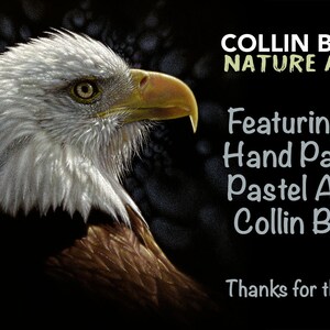 May include: A close-up of a hand-painted pastel art piece featuring a bald eagle with a white head and brown body. The artwork is titled "Collin Bogle Nature Art".