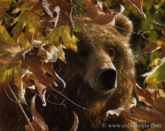 Grizzly Bear Painting, Bear Art Print, Brown Bear, Autumn, Fall, Wildlife Art, Animal, Nature Wall Art, Canvas Artwork, Artist Collin Bogle