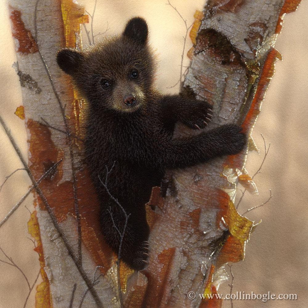 Bear Art Print, Black Bear Painting, Bear Cub, Nursery Print, Wildlife Art, Animal Baby, Nature Wall Art, Canvas Artwork