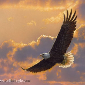 Bald Eagle Painting, Bald Eagle Art Print, Eagle Flight, Sunset, Bird, Wildlife Art, Animal Artwork, Nature Wall Art, Artist Collin Bogle
