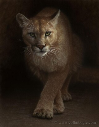 Panther Print Quadro Su Tela Con Bisonte Nella Prateria - Stampe Artistiche Per Pareti, 46x31 Cm, Cornice In Legno, Pronto Da Appendere