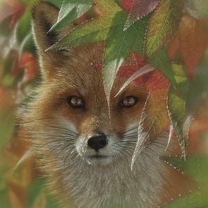 May include: A close-up of a red fox peering through a cluster of green and red leaves. The fox's fur is soft and fluffy, and its eyes are bright and alert. The leaves are partially covering the fox's face, creating a sense of mystery and intrigue.