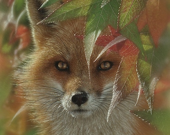 Fox Art Print, Red Fox Painting, Jesień, Sztuka Dzikiej Przyrody, Portret Zwierzęcy, Fox Wall Art, Realistyczne Dzieło Sztuki, Artysta Collin Bogle