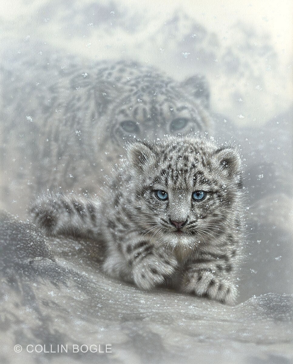 Snow Leopard Cub, Snow Leopard Painting, Cute Kitten Art, Baby