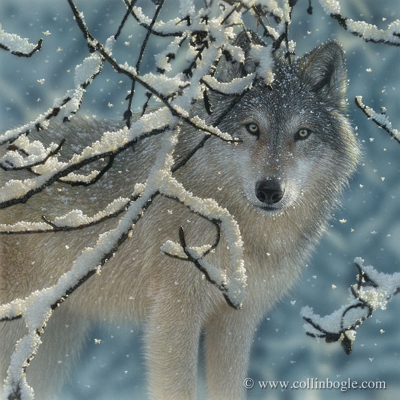 Winter Wolf Painting, Wolf in Snow, Wolf Wall Art, Grey Wolf Artwork, Cabin Decor, Wildlife Art Print, Wolf Illustration, Drawing, Canvas image 1