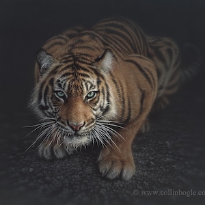 Crouching Tiger Painting, Prowling Tiger Wall Art, Tiger Hunting Print, Artwork, Jungle Cat, Illustration, Drawing, Picture, Poster, Canvas