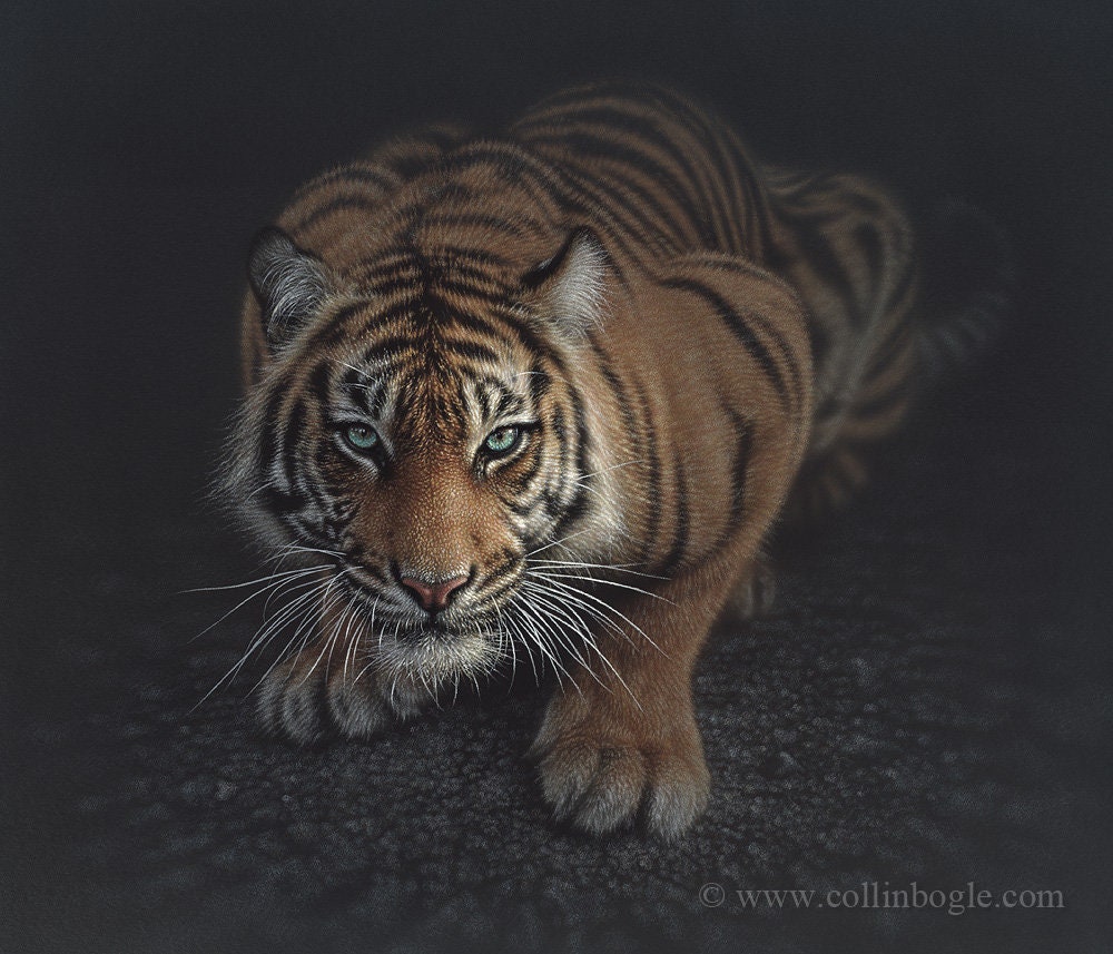 しゃがむ虎の絵画、うろつく虎の壁アート、虎狩りのプリント、アート