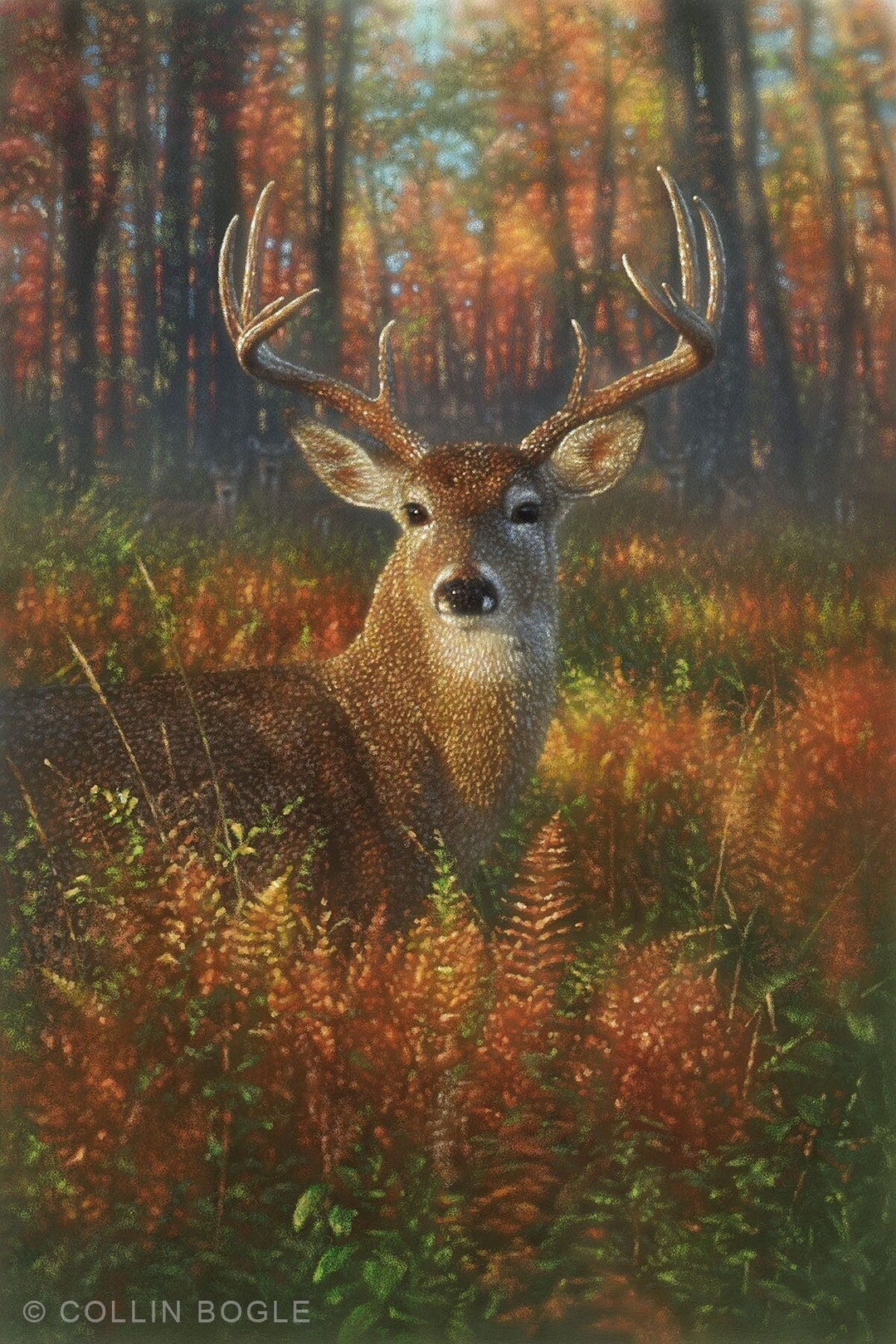 Deer Painting, Deer Art Print, Autumn Deer, Whitetail Buck, Wildlife