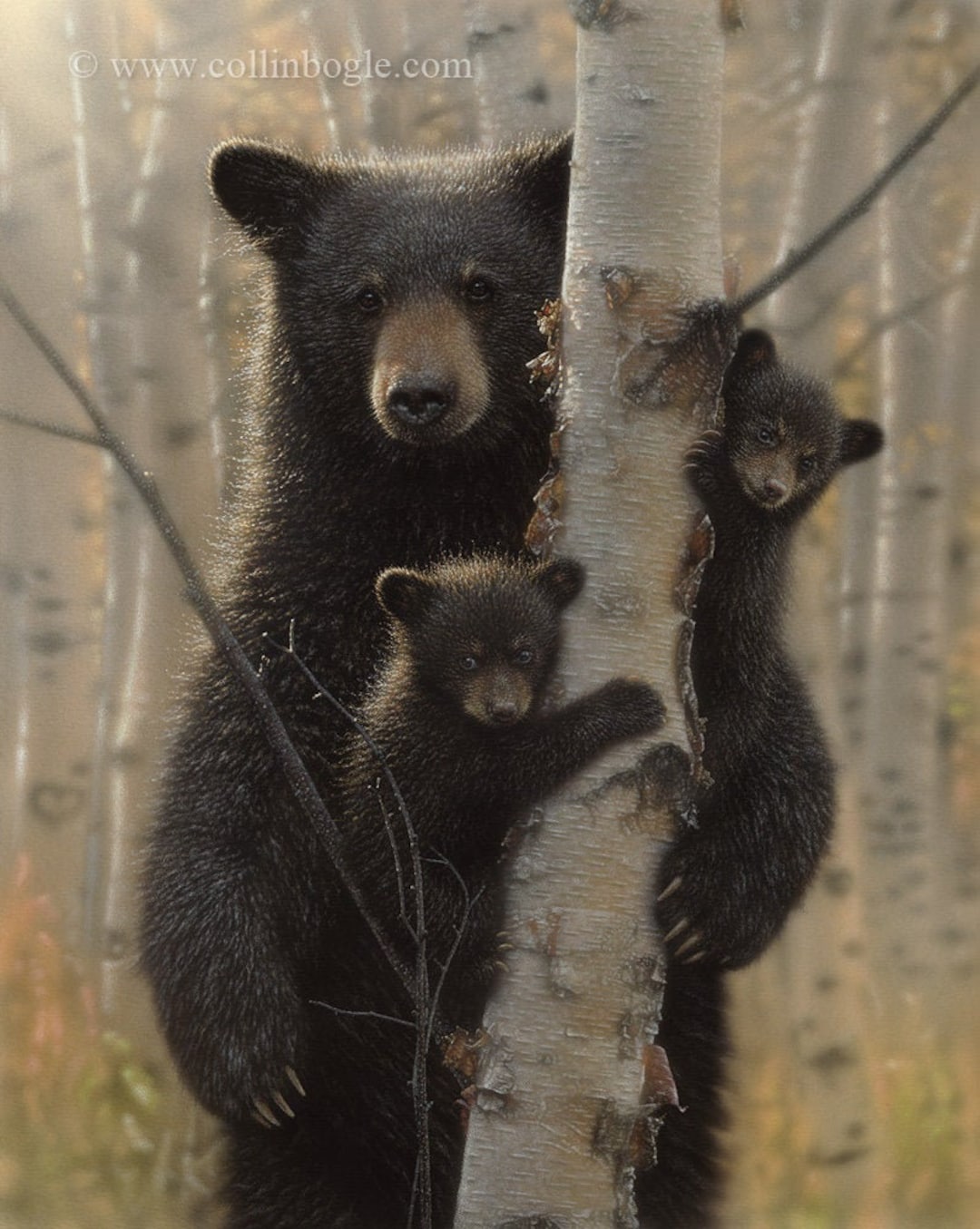 Bear Cub Toilet Paper Holder