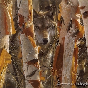 Wolf Print, Wolf Art, Painting of Wolves, Wildlife Art, Animal Portrait, Camouflage Wall Art, Realism Artwork, Artist Collin Bogle