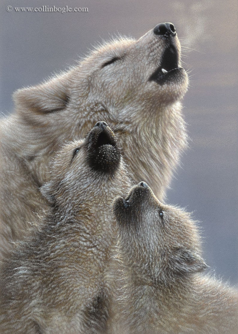 May include: A white wolf with its mouth open howling, with two white wolf pups looking up at it. The wolf family is against a light gray background.