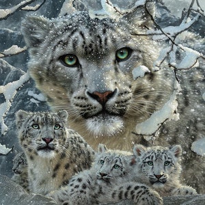 Snow Leopard Art Print, Snow Leopard Painting, Collage of Snow Leopards, Wild Cat Picture, Big Cat Illustration, Drawing, Artwork, Canvas