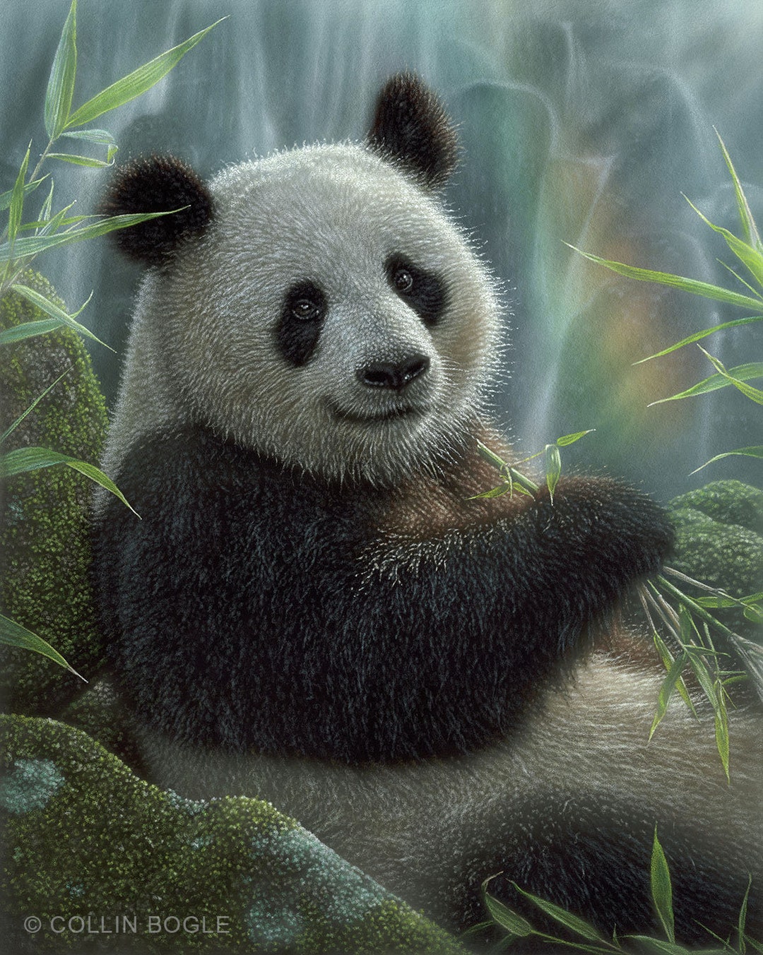 Panda Bear Painting, Panda Bear Print, Giant Panda Art, Wildlife Art
