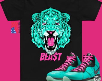 lebron south beach hoodie