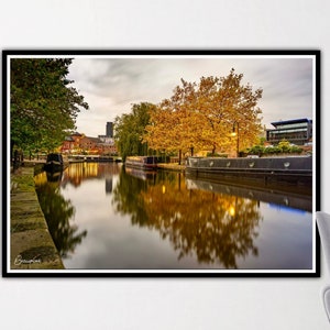 May include: A canal in a city with a reflection of a tree with yellow leaves in the water. The canal is lined with buildings and trees.