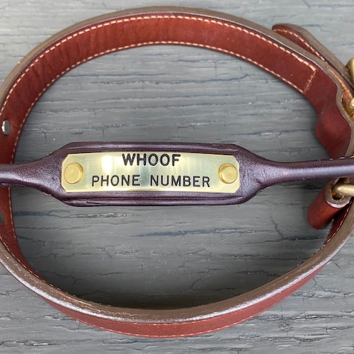 Personalized Rolled Leather Dog Collar With One Brass Tag Etsy