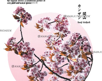 ♪SAKURA♪ adidas ZX 8000 